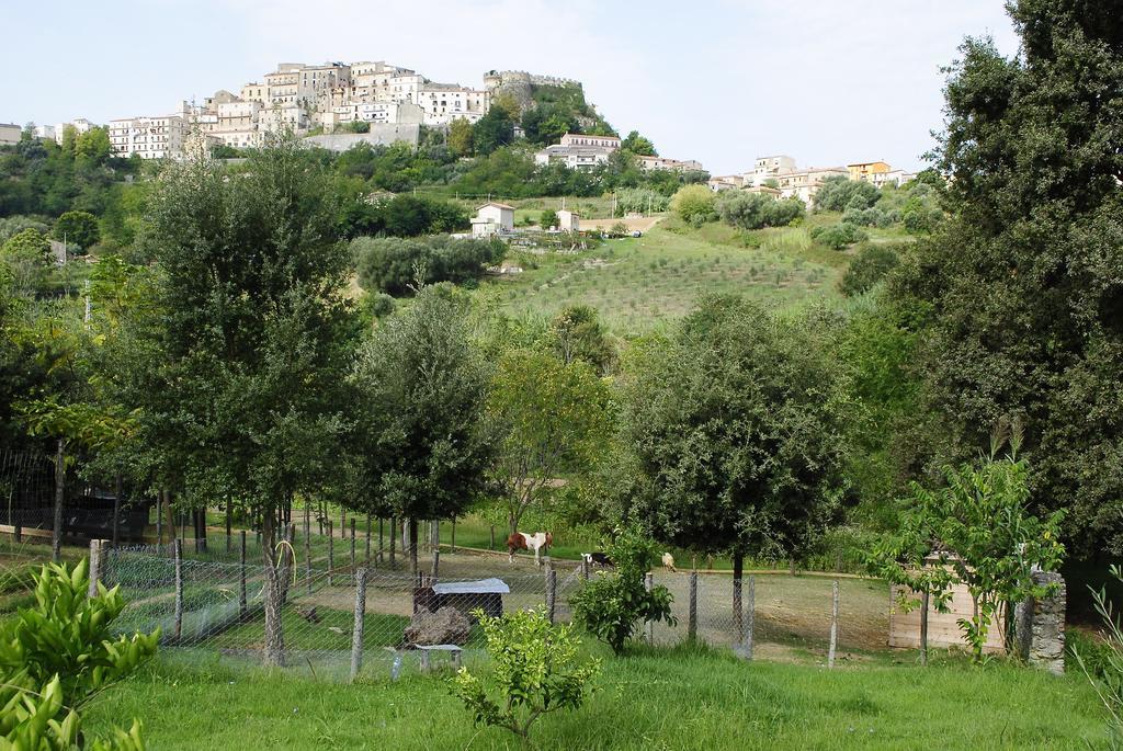 Agriturismo L'Arca Di Anna Brambilla Бельведере-Мариттимо Экстерьер фото